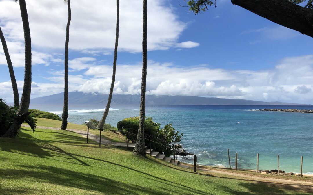 Aloha from Maui: Fall/Winter 2021 Newsletter