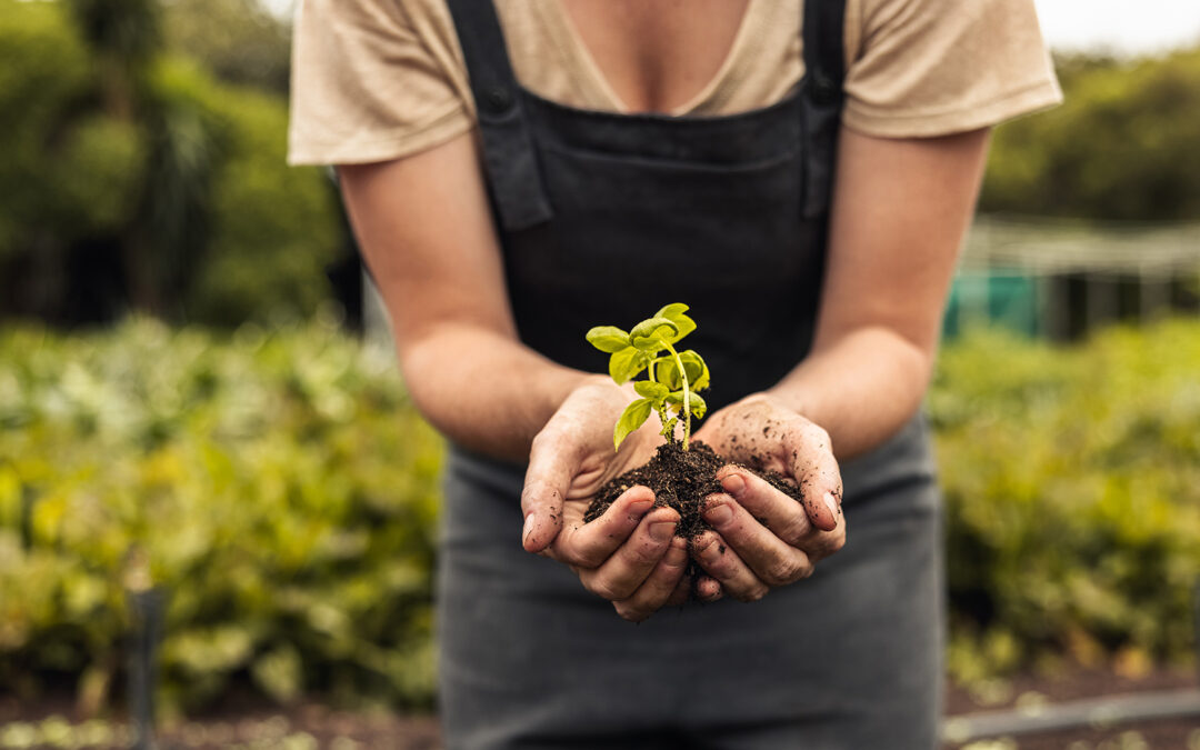 WOMEN RAISE OUR VOICES: Spring 2025—Nurturing in a Time of Chaos